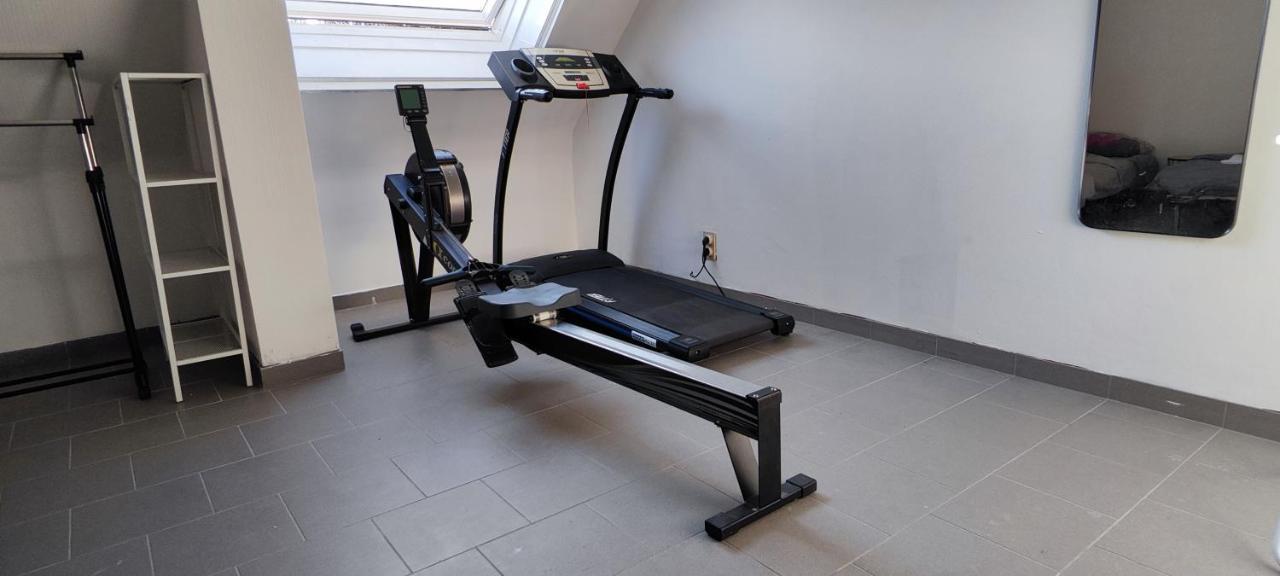 Fitness Loft 50 M2 Lejlighed Zemst Eksteriør billede